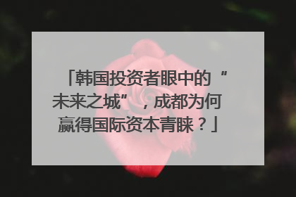 韩国投资者眼中的“未来之城”，成都为何赢得国际资本青睐？