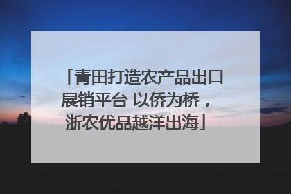 青田打造农产品出口展销平台 以侨为桥，浙农优品越洋出海