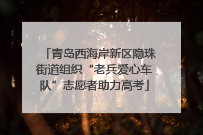青岛西海岸新区隐珠街道组织“老兵爱心车队”志愿者助力高考