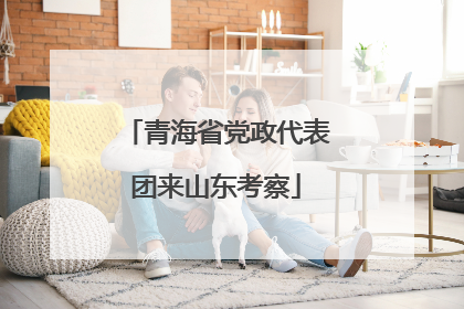 青海省党政代表团来山东考察