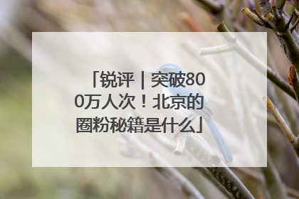 锐评｜突破800万人次！北京的圈粉秘籍是什么