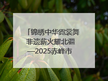锦绣中华霓裳舞 非遗薪火耀北疆—2025赤峰市“文化和自然遗产日”非遗宣传展示活动纪实