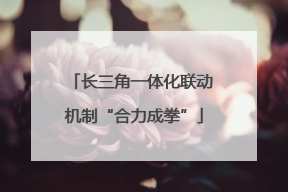 长三角一体化联动机制“合力成拳”