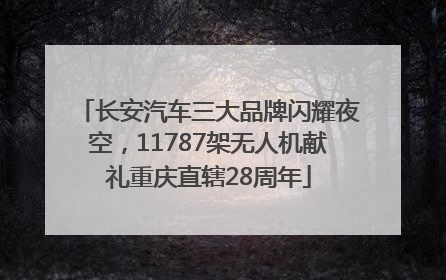 长安汽车三大品牌闪耀夜空，11787架无人机献礼重庆直辖28周年