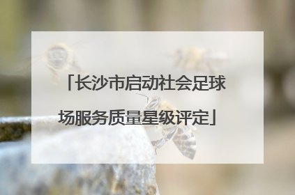 长沙市启动社会足球场服务质量星级评定