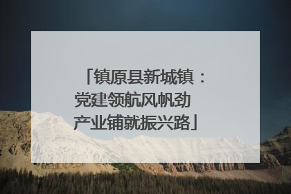 镇原县新城镇：党建领航风帆劲 产业铺就振兴路