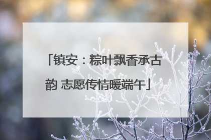 镇安：粽叶飘香承古韵 志愿传情暖端午