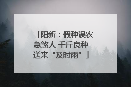 阳新：假种误农急煞人 千斤良种送来“及时雨”
