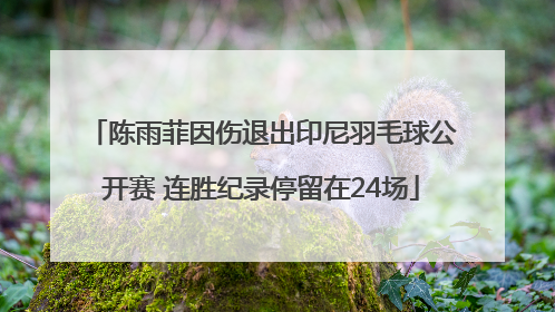 陈雨菲因伤退出印尼羽毛球公开赛 连胜纪录停留在24场