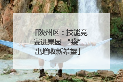陕州区：技能竞赛进果园 “袋”出增收新希望