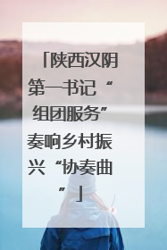 陕西汉阴第一书记“组团服务”奏响乡村振兴“协奏曲”