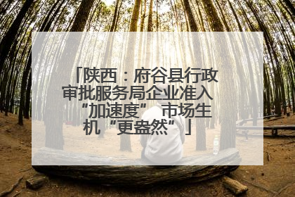 陕西：府谷县行政审批服务局企业准入“加速度” 市场生机“更盎然”