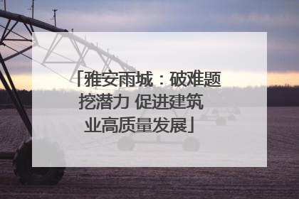 雅安雨城：破难题 挖潜力 促进建筑业高质量发展