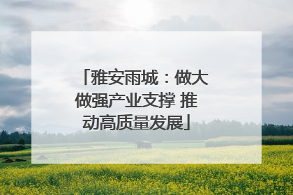 雅安雨城：做大做强产业支撑 推动高质量发展