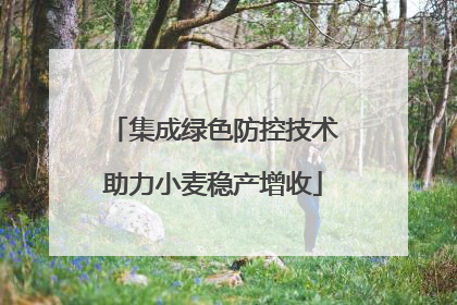 集成绿色防控技术助力小麦稳产增收