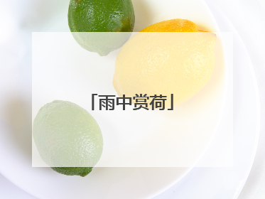 雨中赏荷