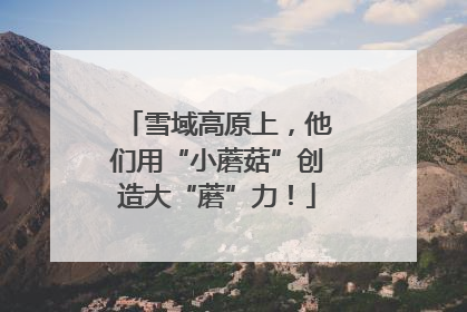 雪域高原上，他们用“小蘑菇”创造大“蘑”力！
