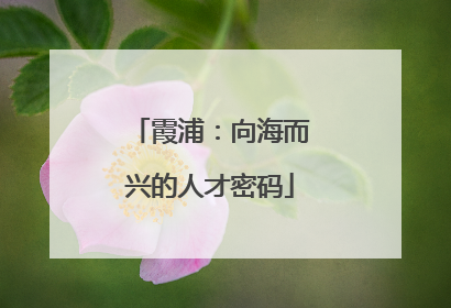 霞浦：向海而兴的人才密码