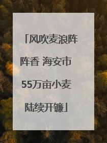 风吹麦浪阵阵香 海安市55万亩小麦陆续开镰