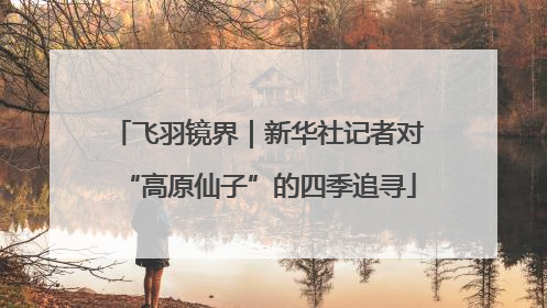 飞羽镜界｜新华社记者对“高原仙子”的四季追寻