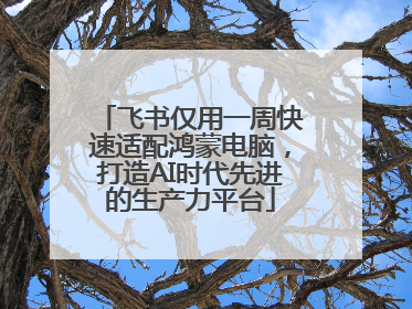 飞书仅用一周快速适配鸿蒙电脑，打造AI时代先进的生产力平台