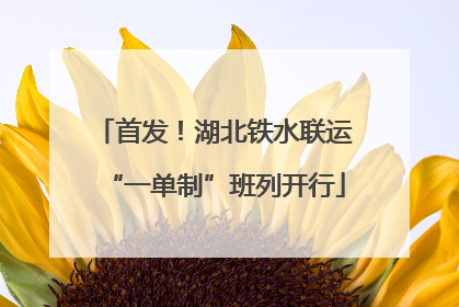 首发！湖北铁水联运“一单制”班列开行
