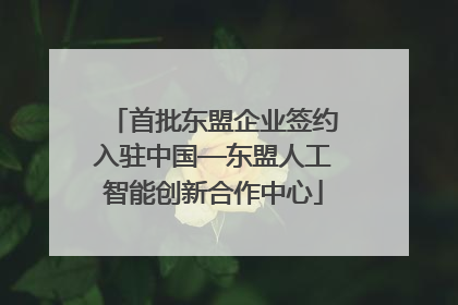 首批东盟企业签约入驻中国—东盟人工智能创新合作中心