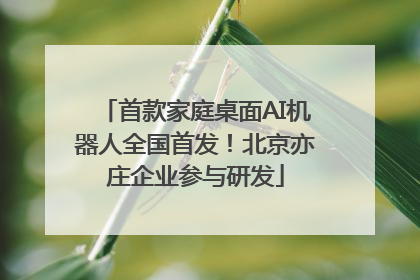 首款家庭桌面AI机器人全国首发！北京亦庄企业参与研发