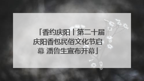 香约庆阳丨第二十届庆阳香包民俗文化节启幕 潘鲁生宣布开幕