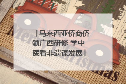 马来西亚侨商侨领广西研修 学中医看非遗谋发展