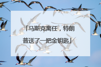 马斯克离任，特朗普送了一把金钥匙