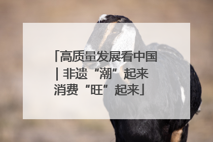 高质量发展看中国｜非遗“潮”起来 消费“旺”起来