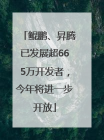 鲲鹏、昇腾已发展超665万开发者，今年将进一步开放