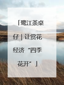 鹭江茶桌仔｜让赏花经济“四季花开”