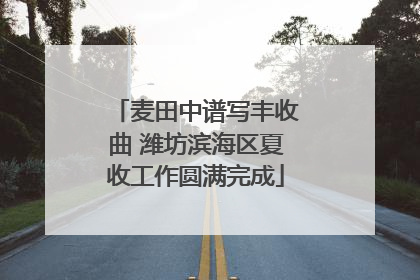 麦田中谱写丰收曲 潍坊滨海区夏收工作圆满完成