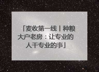 麦收第一线丨种粮大户老房：让专业的人干专业的事