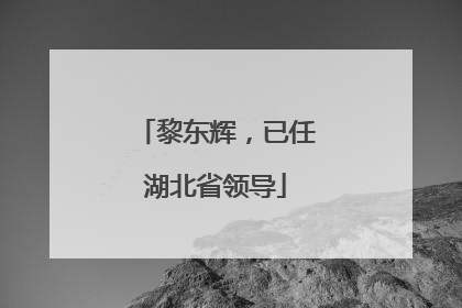 黎东辉，已任湖北省领导
