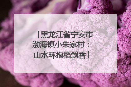 黑龙江省宁安市渤海镇小朱家村：山水环抱稻飘香