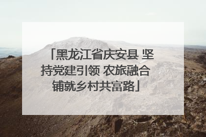 黑龙江省庆安县 坚持党建引领 农旅融合铺就乡村共富路