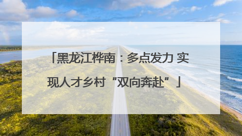 黑龙江桦南：多点发力 实现人才乡村“双向奔赴”