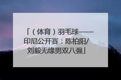 （体育）羽毛球——印尼公开赛：陈柏阳/刘毅无缘男双八强