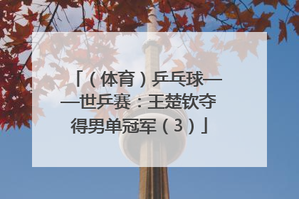 （体育）乒乓球——世乒赛：王楚钦夺得男单冠军（3）