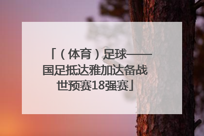 （体育）足球——国足抵达雅加达备战世预赛18强赛