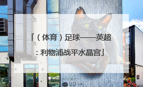 (体育)足球——英超:利物浦战平水晶宫