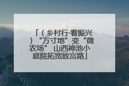 （乡村行·看振兴）“方寸地”变“微农场” 山西神池小庭院拓宽致富路