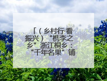 （乡村行·看振兴）“槜李之乡”浙江桐乡：“千年名果”铺就乡村共富路
