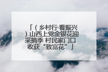 （乡村行·看振兴）山西上党金银花迎采摘季 村民家门口收获“致富花”