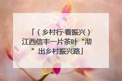 （乡村行·看振兴）江西信丰一片茶叶“沏”出乡村振兴路