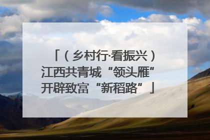 （乡村行·看振兴）江西共青城“领头雁”开辟致富“新稻路”