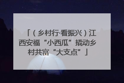 （乡村行·看振兴）江西安福“小西瓜”撬动乡村共富“大支点”